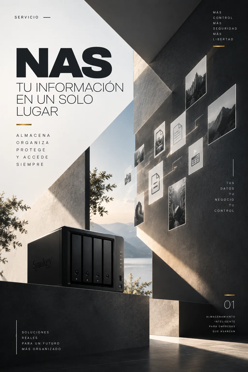 NAS empresarial